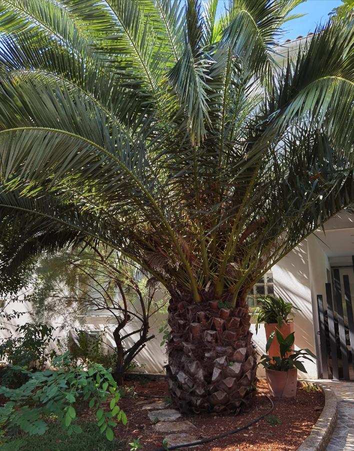 Pine And Lime Apartments Pula Exterior foto